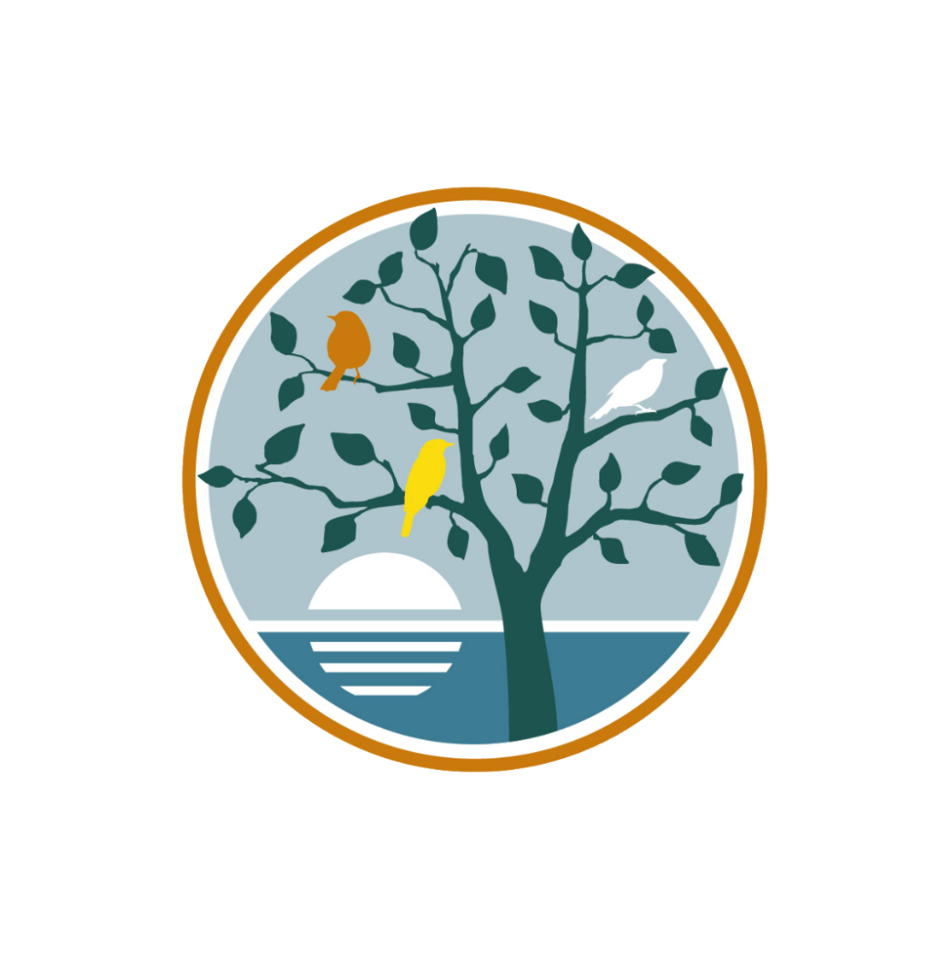 Reflective Meditation Logo Reflective Meditation